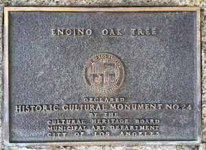 lang encino oak tree plaque